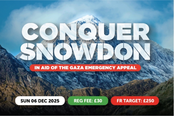 Conquer Snowdon