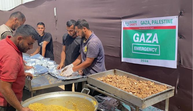 Reflecting on 2024: A Year of Compassion and Impact