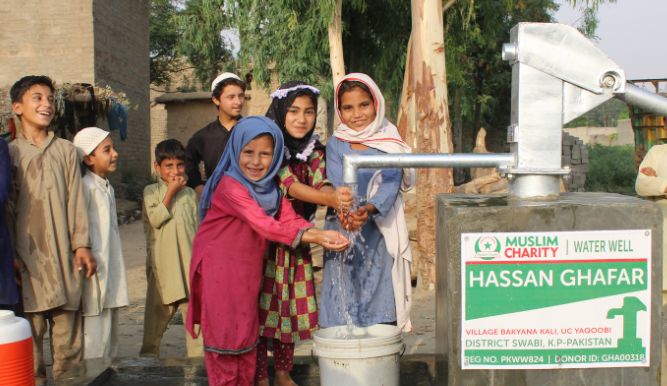 Reflecting on 2024: A Year of Compassion and Impact